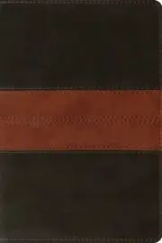 ESV Personal Reference Bible