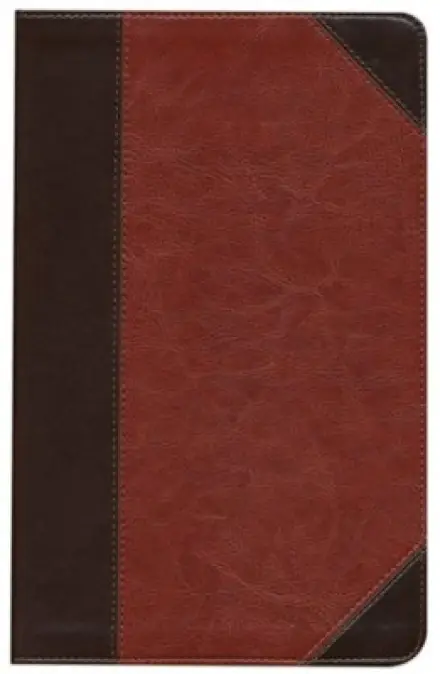 ESV Thinline Bible (TruTone, Brown/Cordovan, Portfolio Design)