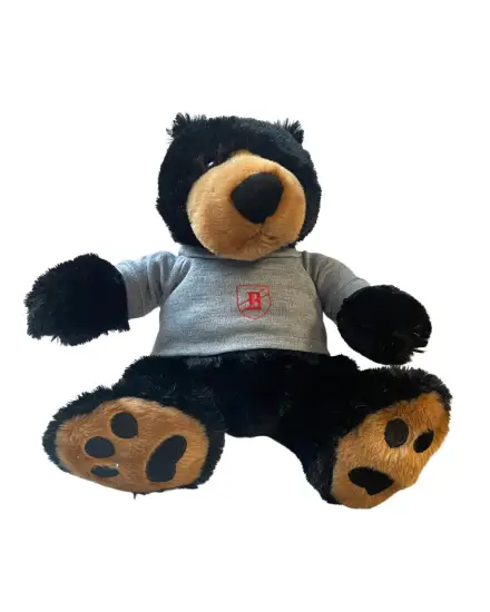 Boyce College Teddy Bear