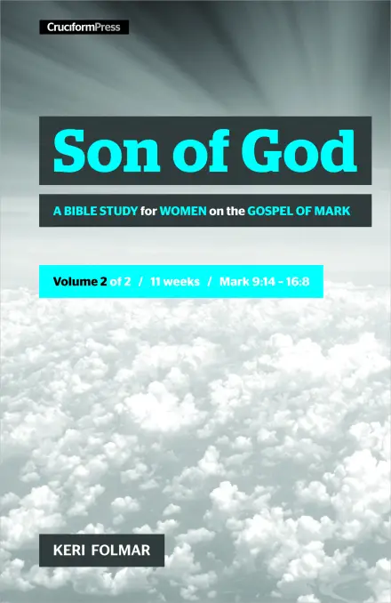 Son of God Vol 2