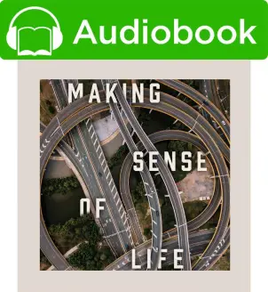 Making Sense of Life