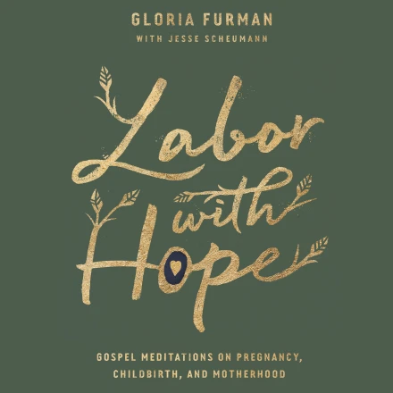 Labor with Hope MP3 Audiobook