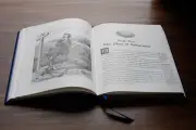 The Pilgrim's Progress