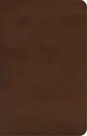 ESV Concise Study Bible (TruTone)