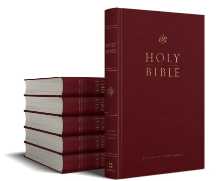ESV Pew Bible, Burgundy (Case of 24)