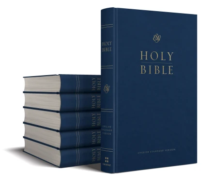 ESV Premium Pew and Worship Bible, Blue (Case of 12)