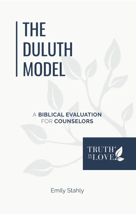 The Duluth Model