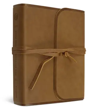 ESV Single Column Journaling Bible (Brown)