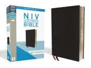 NIV Thinline Bible (Black, Comfort Print)