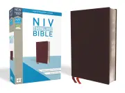 NIV Thinline Bible (Burgandy, Red Letter)