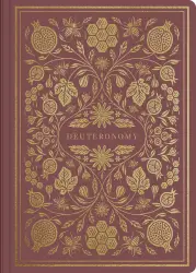 ESV Illuminated Scripture Journal: Deuteronomy