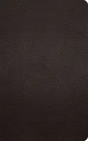 ESV Large Print Personal Size Bible