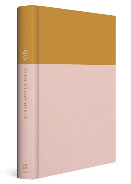 ESV Teen Study Bible