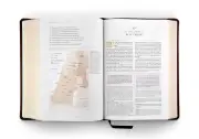ESV Women's Study Bible