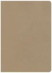 CSB She Reads Truth Bible, Champagne Gold LeatherTouch