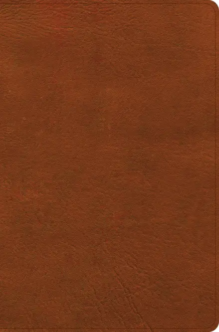 CSB Giant Print Reference Bible, Digital Study Edition, Burnt Sienna LeatherTouch