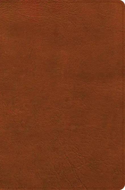 CSB Giant Print Reference Bible, Digital Study Edition, Burnt Sienna LeatherTouch, Indexed