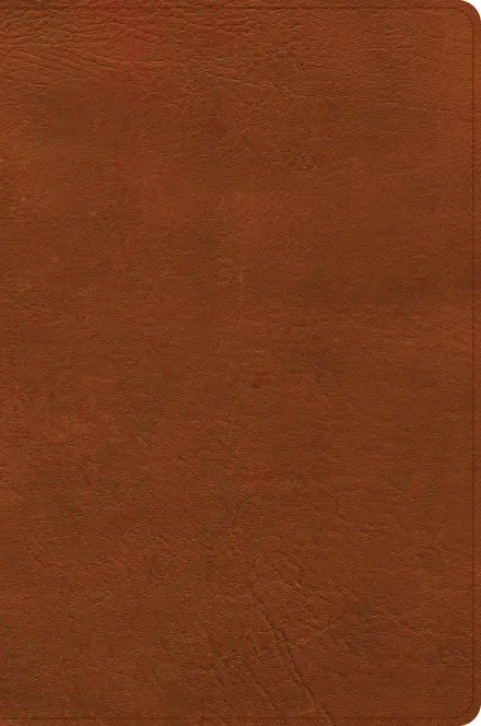 CSB Giant Print Single-Column Bible, Burnt Sienna LeatherTouch
