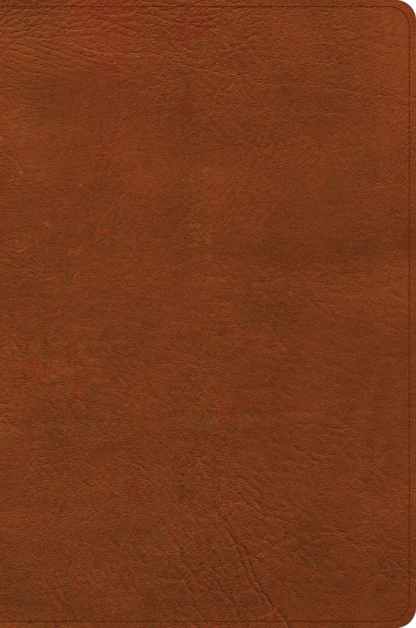 CSB Giant Print Single-Column Bible, Burnt Sienna LeatherTouch