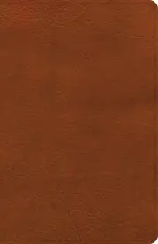 CSB Large Print Personal Size Reference Bible, Digital Study Edition, Burnt Sienna LeatherTouch