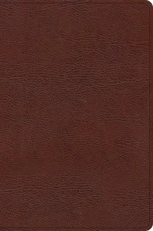 CSB Oswald Chambers Bible, Brown Bonded Leather