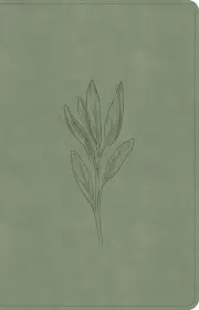 CSB Thinline Bible, Digital Study Edition, Sage SuedeSoft LeatherTouch