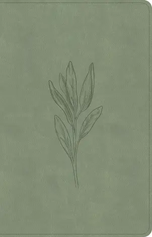 CSB Thinline Bible, Digital Study Edition, Sage SuedeSoft LeatherTouch