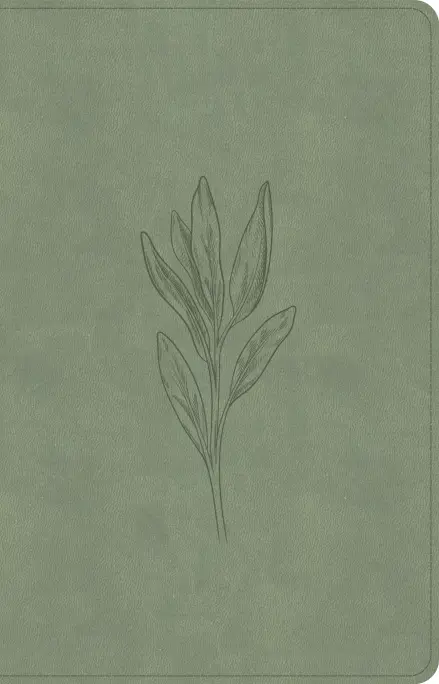 CSB Thinline Bible, Digital Study Edition, Sage SuedeSoft LeatherTouch