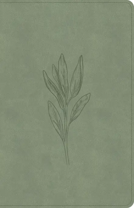 CSB Thinline Bible, Digital Study Edition, Sage SuedeSoft LeatherTouch