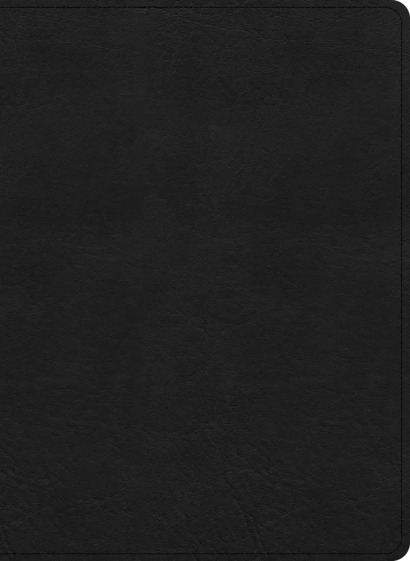 KJV Study Bible, Large Print Edition, Black LeatherTouch