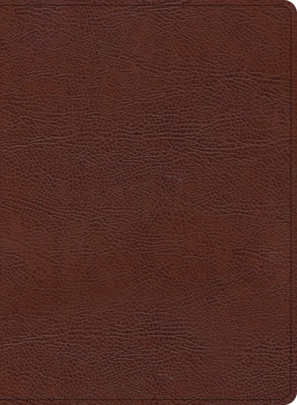 KJV Study Bible, Large Print Edition, Brown Bonded Leather