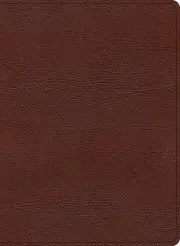 KJV Study Bible, Large Print Edition, Brown Bonded Leather