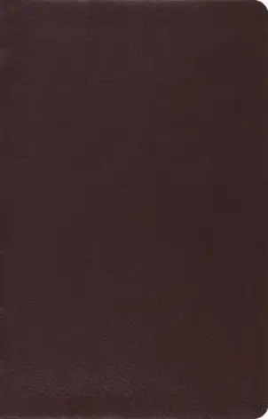 ESV Large Print Thinline Reference Bible (Brown Bonded Leather)