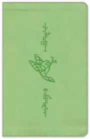 ESV Kid's Bible, Thinline