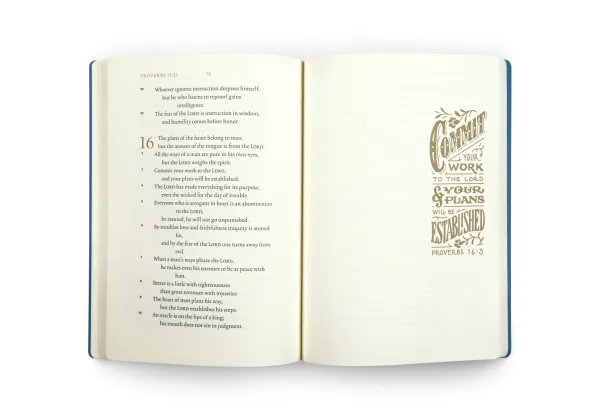 ESV Illuminated Scripture Journal: Proverbs