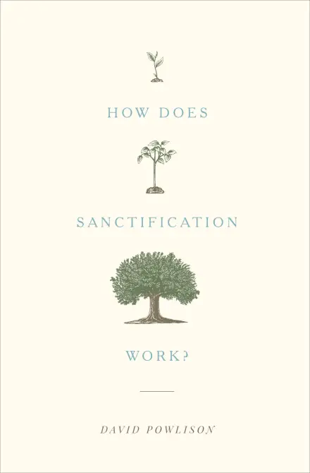 How Does Sanctification Work?